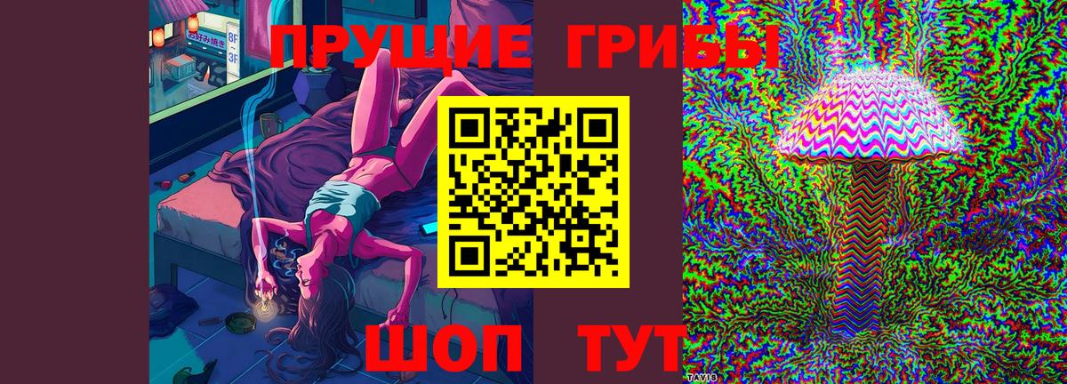 Галлюциногенные грибы Cubensis  Вход с VPN  Волгоград 